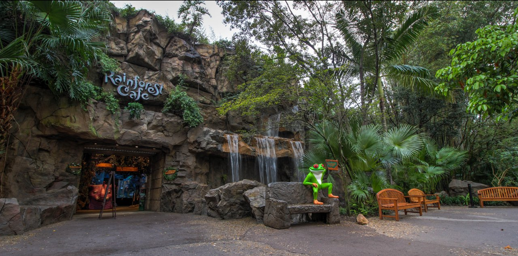 Entrada Rainforest Cafe no Animal Kingdom